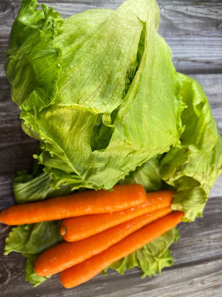 Lettuce-Carrot-Paratha-Vegetable